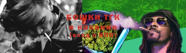 эйфоретик Аркадак