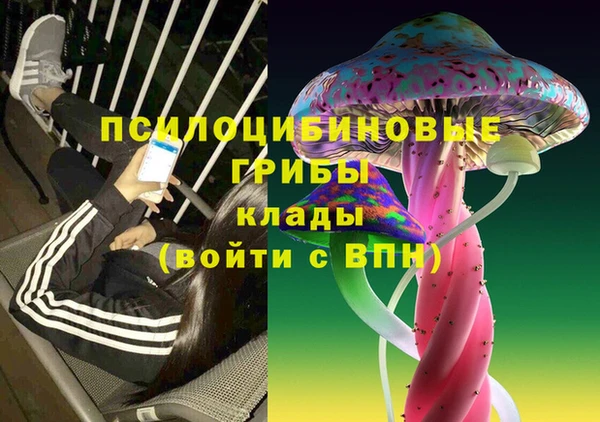 гидропоника Пересвет